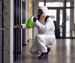 Mold Removal for HVAC Installations in Apex, NC